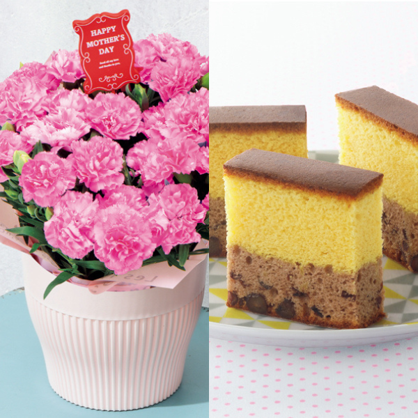 アサミグリーンプランツ カーネーション「ホットハート」（SUSTEE付）＋和泉屋 カステラ「綺麗菓」【母の日】 商品サムネイル